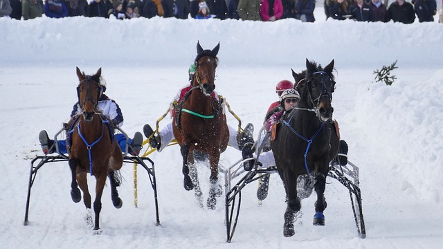 欧冠赛场精彩瞬间：皇马2-1取胜,