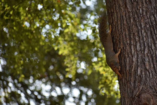 戴格诺特：第三节没有打出最佳状态，收官阶段我们执行很出色
