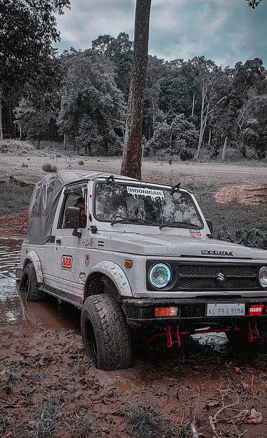 荷兰队官方：将在3月与挪威队、厄瓜多尔队进行友谊赛